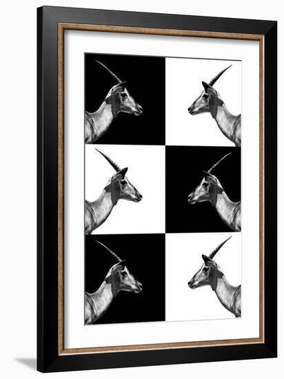 Safari Profile Collection - Antelopes Impalas-Philippe Hugonnard-Framed Photographic Print