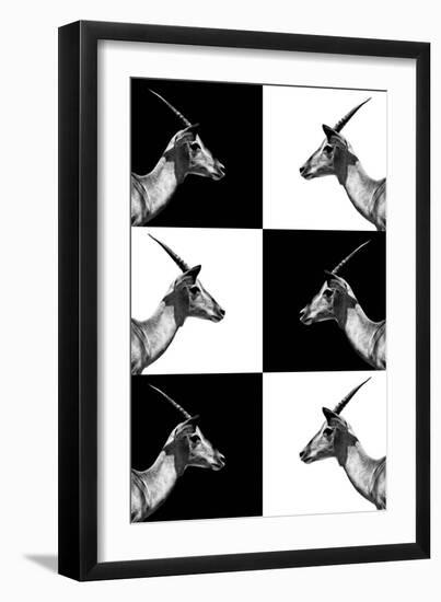 Safari Profile Collection - Antelopes Impalas-Philippe Hugonnard-Framed Photographic Print