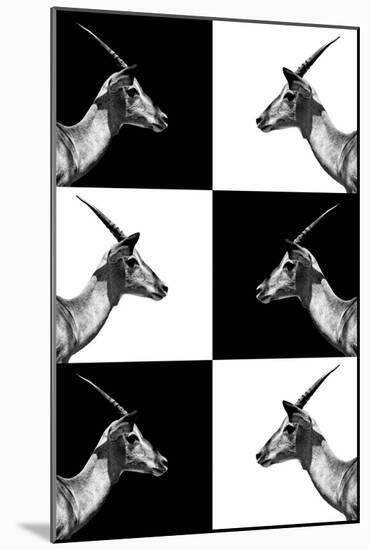 Safari Profile Collection - Antelopes Impalas-Philippe Hugonnard-Mounted Photographic Print
