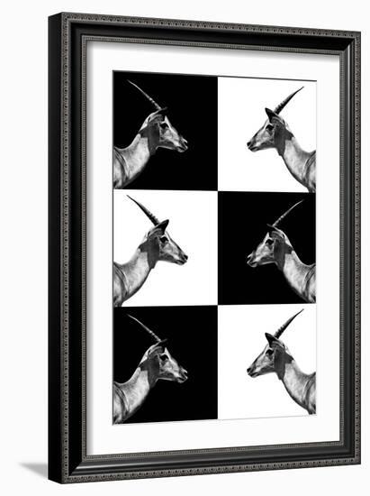 Safari Profile Collection - Antelopes Impalas-Philippe Hugonnard-Framed Photographic Print