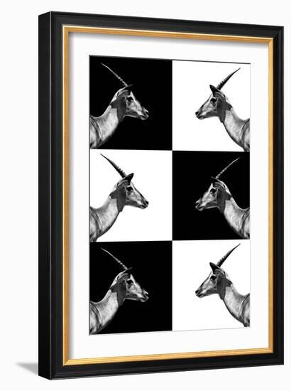 Safari Profile Collection - Antelopes Impalas-Philippe Hugonnard-Framed Photographic Print