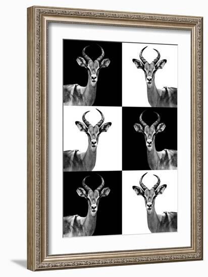 Safari Profile Collection - Antelopes-Philippe Hugonnard-Framed Photographic Print