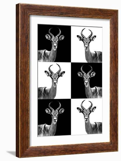 Safari Profile Collection - Antelopes-Philippe Hugonnard-Framed Photographic Print