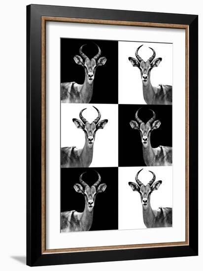 Safari Profile Collection - Antelopes-Philippe Hugonnard-Framed Photographic Print