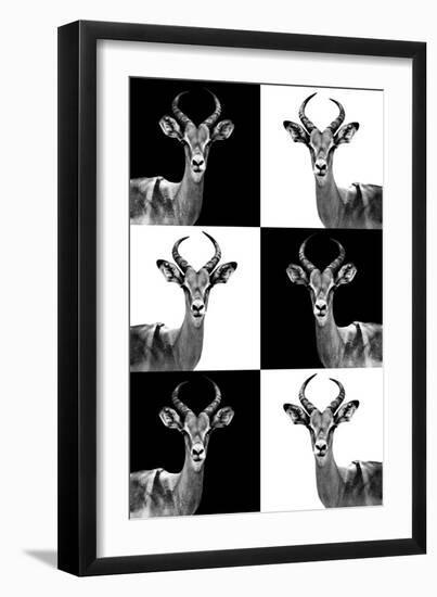 Safari Profile Collection - Antelopes-Philippe Hugonnard-Framed Photographic Print