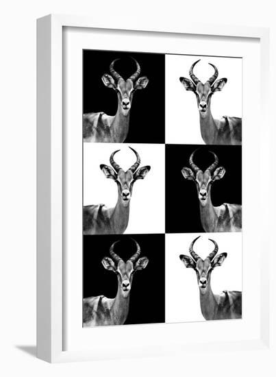 Safari Profile Collection - Antelopes-Philippe Hugonnard-Framed Photographic Print