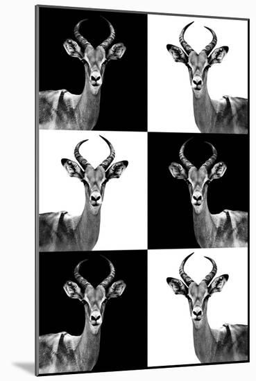 Safari Profile Collection - Antelopes-Philippe Hugonnard-Mounted Photographic Print