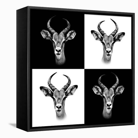 Safari Profile Collection - Antepoles Portraits II-Philippe Hugonnard-Framed Premier Image Canvas