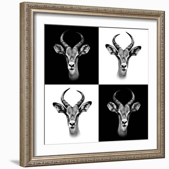 Safari Profile Collection - Antepoles Portraits II-Philippe Hugonnard-Framed Photographic Print