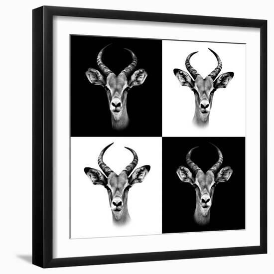 Safari Profile Collection - Antepoles Portraits II-Philippe Hugonnard-Framed Photographic Print