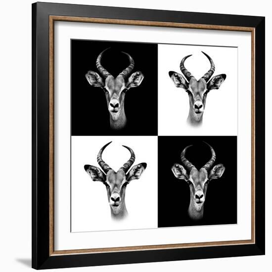 Safari Profile Collection - Antepoles Portraits II-Philippe Hugonnard-Framed Photographic Print