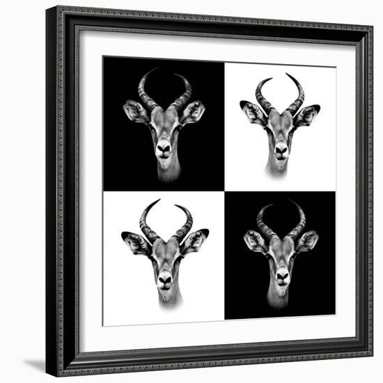 Safari Profile Collection - Antepoles Portraits II-Philippe Hugonnard-Framed Photographic Print