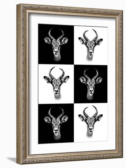 Safari Profile Collection - Antepoles Portraits-Philippe Hugonnard-Framed Photographic Print