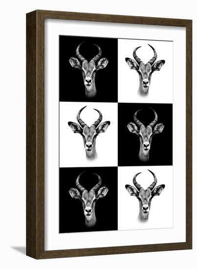 Safari Profile Collection - Antepoles Portraits-Philippe Hugonnard-Framed Photographic Print