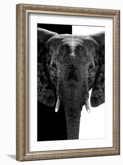 Safari Profile Collection - Elephant B&W III-Philippe Hugonnard-Framed Photographic Print