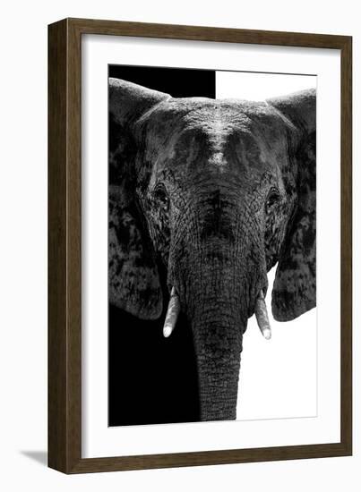 Safari Profile Collection - Elephant B&W III-Philippe Hugonnard-Framed Photographic Print