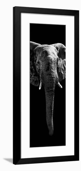 Safari Profile Collection - Elephant Black Edition II-Philippe Hugonnard-Framed Photographic Print