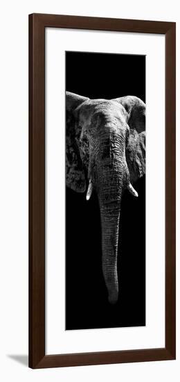 Safari Profile Collection - Elephant Black Edition II-Philippe Hugonnard-Framed Photographic Print