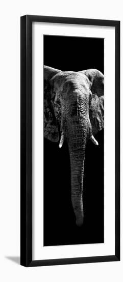 Safari Profile Collection - Elephant Black Edition II-Philippe Hugonnard-Framed Photographic Print