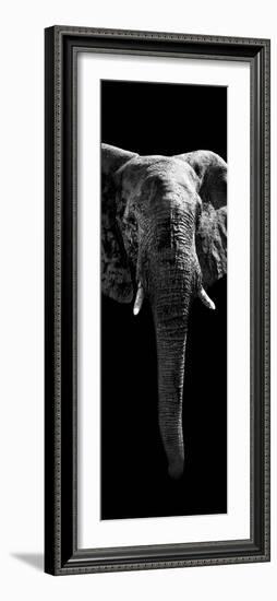 Safari Profile Collection - Elephant Black Edition II-Philippe Hugonnard-Framed Photographic Print