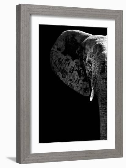 Safari Profile Collection - Elephant Black Edition III-Philippe Hugonnard-Framed Photographic Print