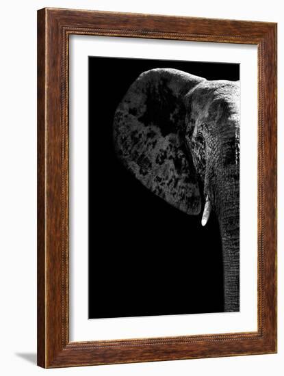 Safari Profile Collection - Elephant Black Edition III-Philippe Hugonnard-Framed Photographic Print