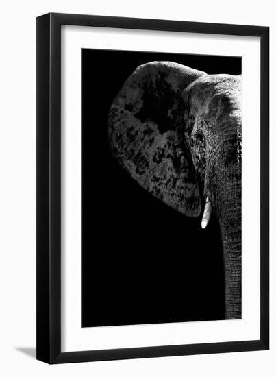 Safari Profile Collection - Elephant Black Edition III-Philippe Hugonnard-Framed Photographic Print