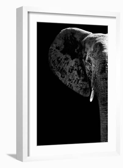 Safari Profile Collection - Elephant Black Edition III-Philippe Hugonnard-Framed Photographic Print