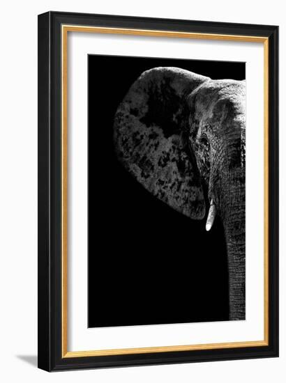 Safari Profile Collection - Elephant Black Edition III-Philippe Hugonnard-Framed Photographic Print