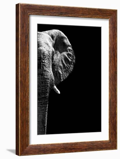 Safari Profile Collection - Elephant Black Edition IV-Philippe Hugonnard-Framed Photographic Print