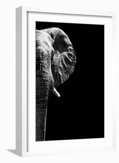 Safari Profile Collection - Elephant Black Edition IV-Philippe Hugonnard-Framed Photographic Print