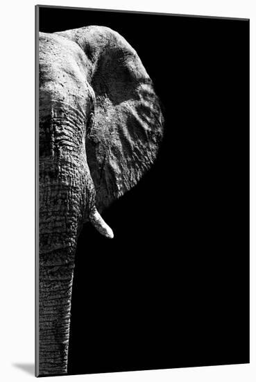 Safari Profile Collection - Elephant Black Edition IV-Philippe Hugonnard-Mounted Photographic Print