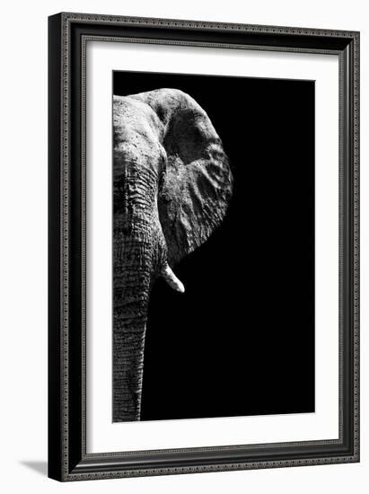 Safari Profile Collection - Elephant Black Edition IV-Philippe Hugonnard-Framed Photographic Print