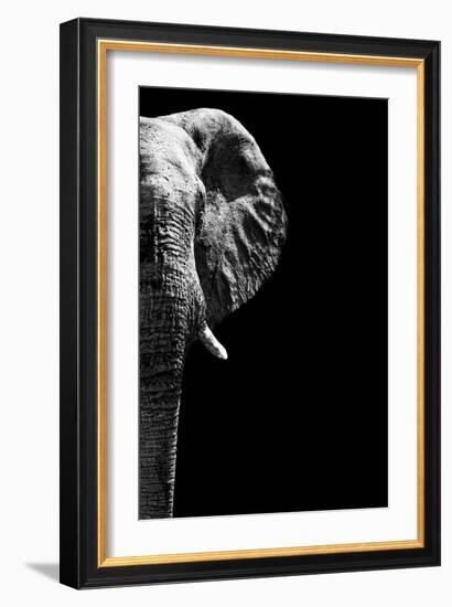 Safari Profile Collection - Elephant Black Edition IV-Philippe Hugonnard-Framed Photographic Print