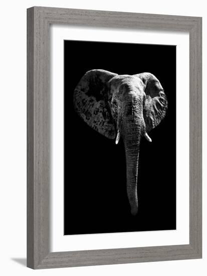 Safari Profile Collection - Elephant Black Edition-Philippe Hugonnard-Framed Photographic Print