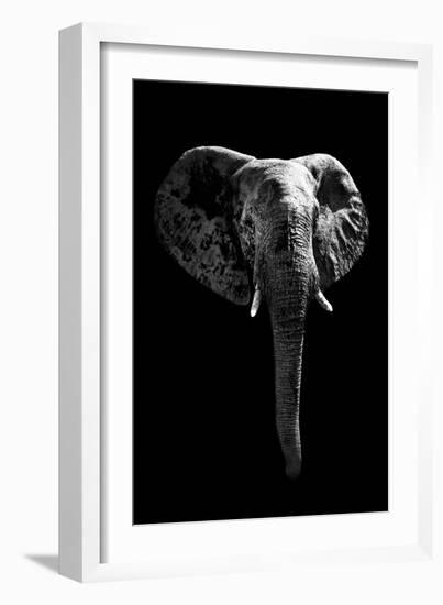 Safari Profile Collection - Elephant Black Edition-Philippe Hugonnard-Framed Photographic Print