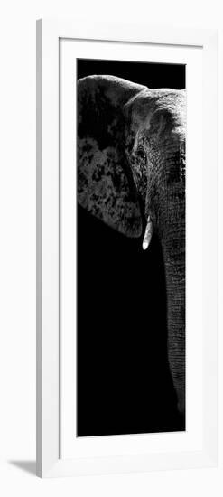 Safari Profile Collection - Elephant Portrait Black Edition V-Philippe Hugonnard-Framed Photographic Print