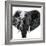 Safari Profile Collection - Elephant Portrait White Edition IV-Philippe Hugonnard-Framed Photographic Print