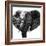 Safari Profile Collection - Elephant Portrait White Edition IV-Philippe Hugonnard-Framed Photographic Print