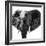 Safari Profile Collection - Elephant Portrait White Edition IV-Philippe Hugonnard-Framed Photographic Print