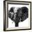 Safari Profile Collection - Elephant Portrait White Edition IV-Philippe Hugonnard-Framed Photographic Print