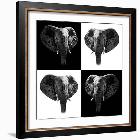 Safari Profile Collection - Elephants II-Philippe Hugonnard-Framed Photographic Print