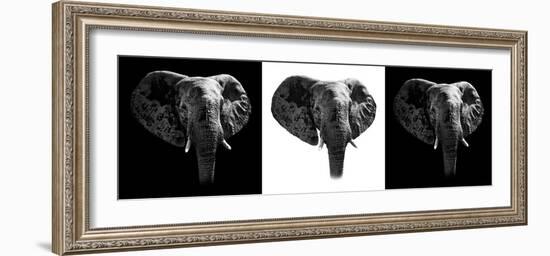 Safari Profile Collection - Elephants III-Philippe Hugonnard-Framed Photographic Print