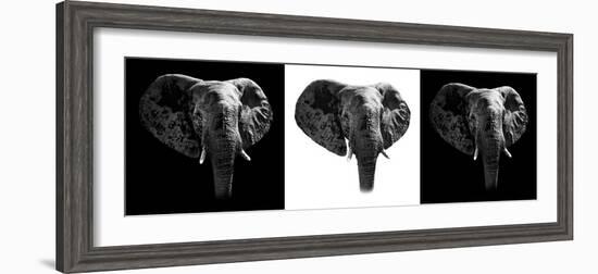 Safari Profile Collection - Elephants III-Philippe Hugonnard-Framed Photographic Print