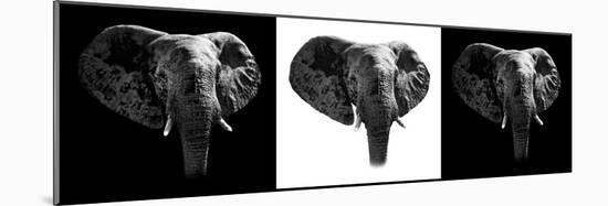 Safari Profile Collection - Elephants III-Philippe Hugonnard-Mounted Photographic Print