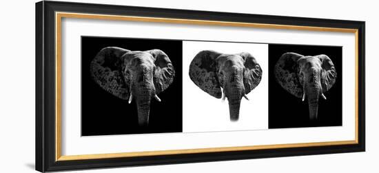 Safari Profile Collection - Elephants III-Philippe Hugonnard-Framed Photographic Print