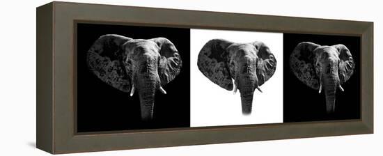 Safari Profile Collection - Elephants III-Philippe Hugonnard-Framed Premier Image Canvas