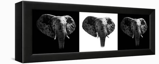 Safari Profile Collection - Elephants III-Philippe Hugonnard-Framed Premier Image Canvas