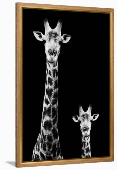 Safari Profile Collection - Giraffe and Baby Black Edition II-Philippe Hugonnard-Framed Premier Image Canvas