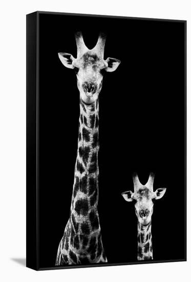 Safari Profile Collection - Giraffe and Baby Black Edition II-Philippe Hugonnard-Framed Premier Image Canvas